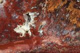 Polished Sicat Plume Agate Section - Cady Mountains, California #184957-2